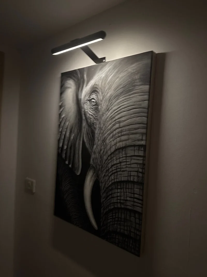 Draadloze LED wandlamp dimbaar 360° verstelbaar voor kunst schilderijen en foto's zwart wit goud accentverlichting | Sansoti