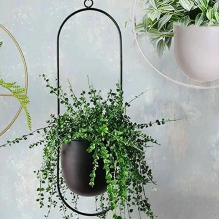 Hangende Plantenpot met Metalen Ring voor Kruiden en Vetplanten Binnen | Sansoti