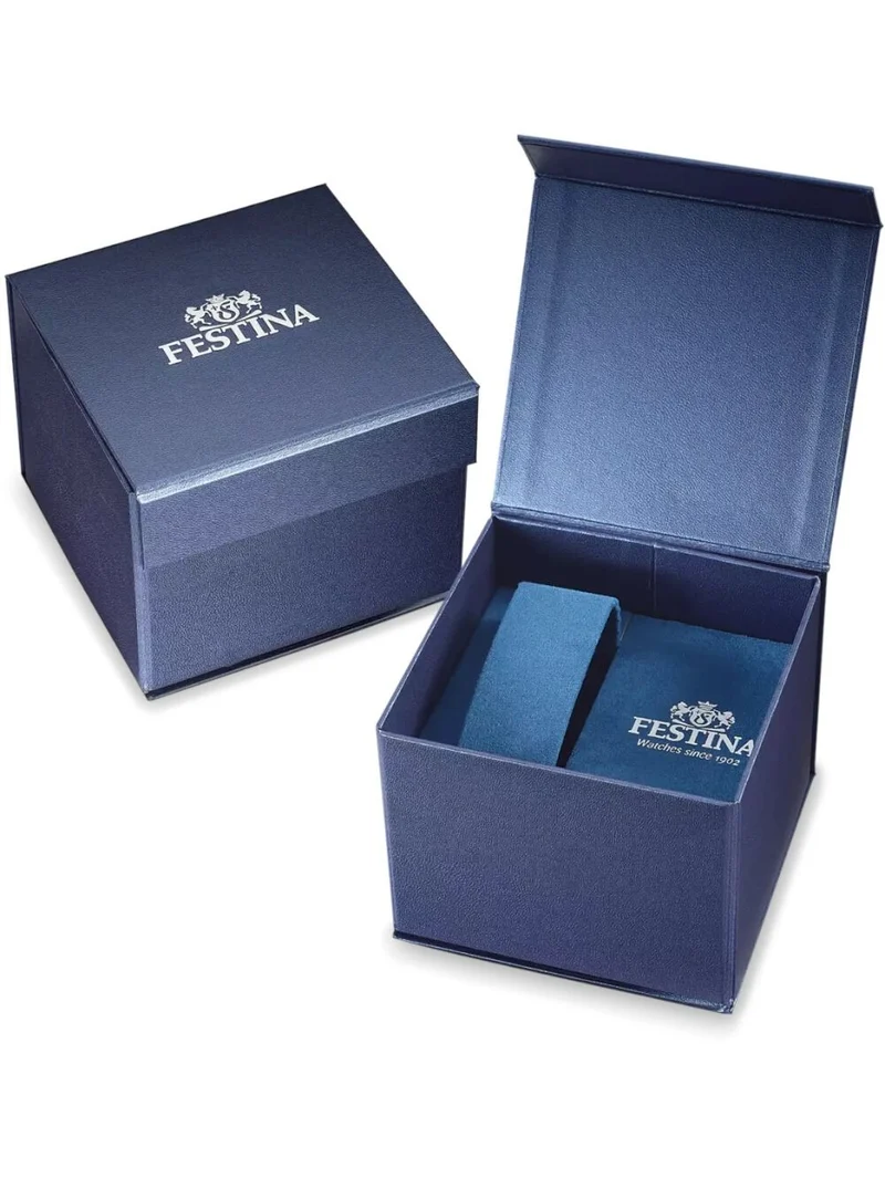 Festina F20696/2 Herrenuhr • Titanium • 10 ATM