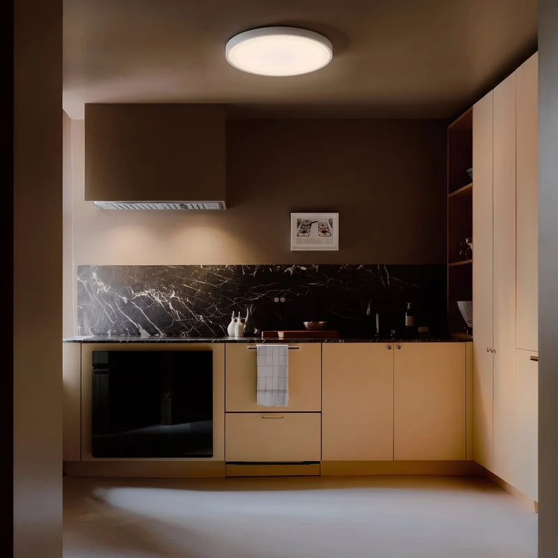 Ultraslanke LED Plafondlamp Rond IJzer Zwart Wit 23-37cm Scandinavisch Modern Woonkamer Slaapkamer Verlichting | Sansoti