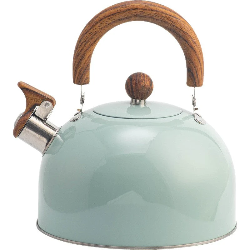 Fluitketel voor Fornuis 2,5-3L Thee Koffie Waterkoker met Automatische Uitschakeling Zwart Turquoise | Sansoti