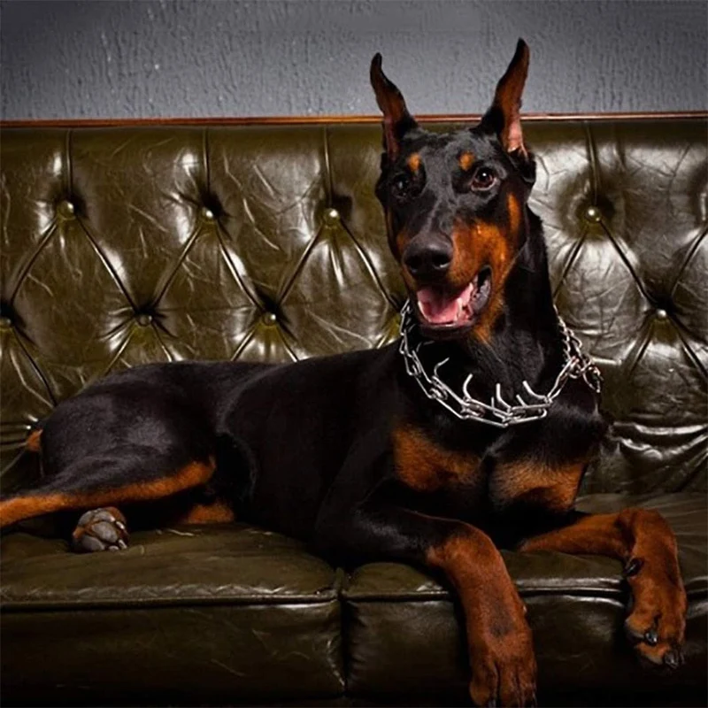 Correctieband Hond Verstelbaar met Gummitips Zwart voor Trainingscontrole | Anti-Trek Trainingsband Metaal met Veilige Pinnen | Sansoti
