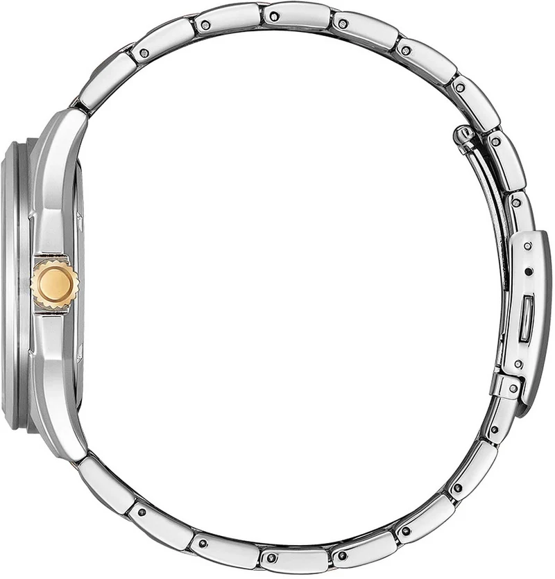 Citizen AW1756-89A Uhr • Zweifarbiges Band • Faltschließe