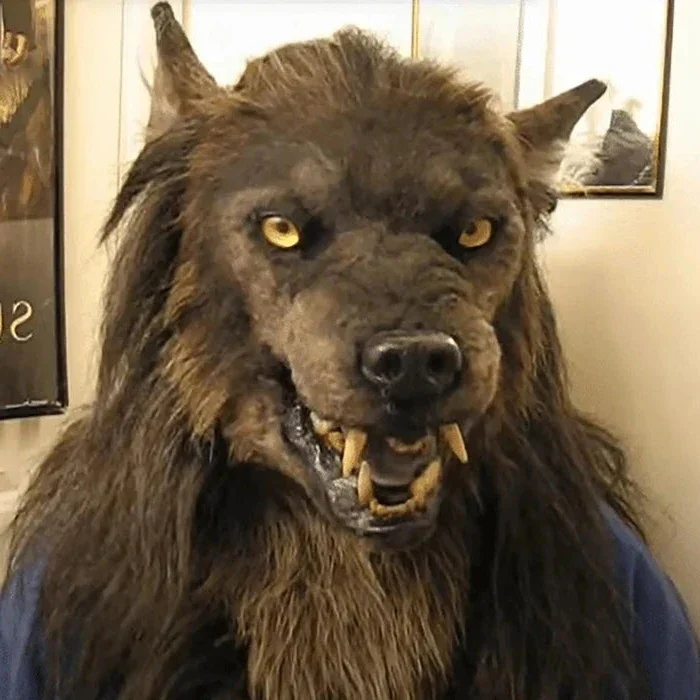 Weerwolf Masker Halloween Cosplay Party Carnaval Feestmasker Realistisch Siliconen Dierenmasker Verkleedkleding | Sansoti