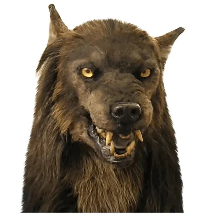 Weerwolf Masker Halloween Cosplay Party Carnaval Feestmasker Realistisch Siliconen Dierenmasker Verkleedkleding | Sansoti