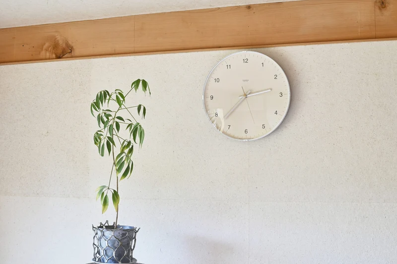 Lemnos Biome LC24-16-BG Wanduhr Beige • Geräuschloses Sweep-Uhrwerk • Kuppelglas-Design