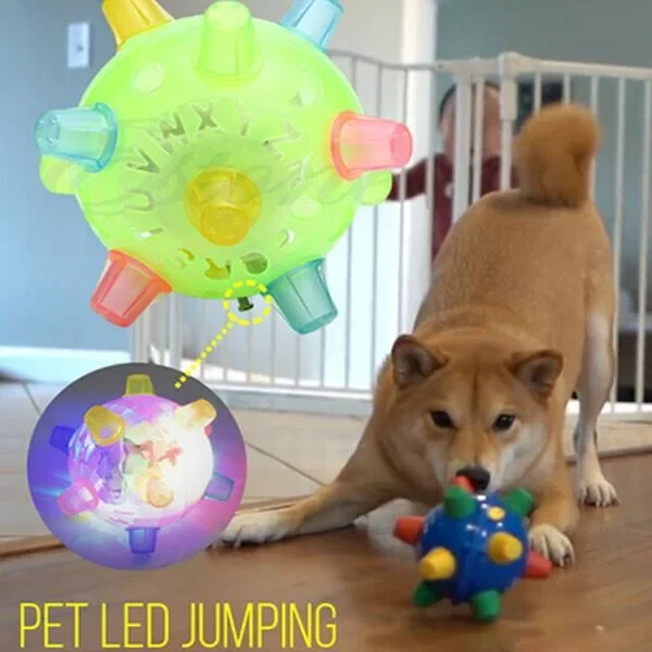 Interactieve Springbal met LED Licht voor Honden Beweging Hersentraining Speelgoed Thermoplastisch Rubber | Sansoti