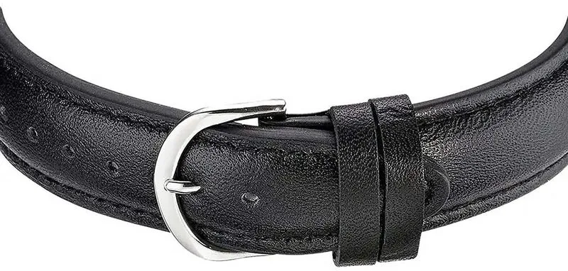 Master Time Sprechende Funkuhr MTGA-10811-85L Herrenuhr • Zeitansage • Funkpräzision