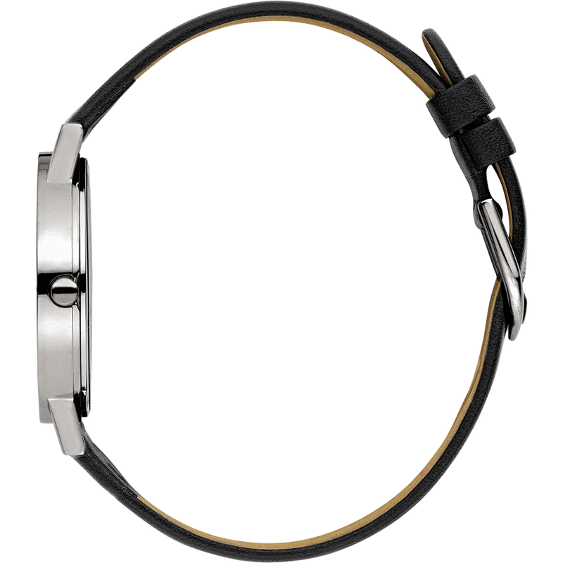 Danish Design Gløbe IQ24Q199 Rhine Medium Herrenuhr • Titangehäuse • Mineralglas