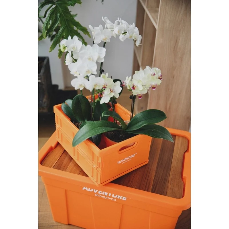 Opvouwbare Opbergkrat PP Stapelbaar A4 34x24cm 8kg Bureau Documenten Boeken | Sansoti
