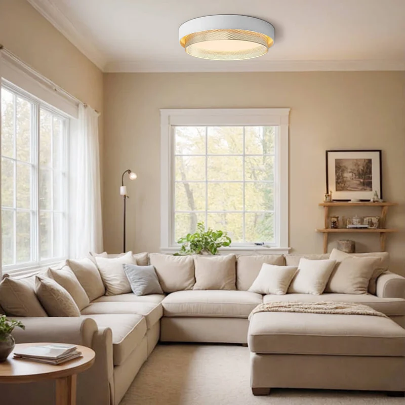Plafondlamp LED Rond Hol Design 30W Wit Zwart 50cm Woonkamer Badkamer Minimalistisch