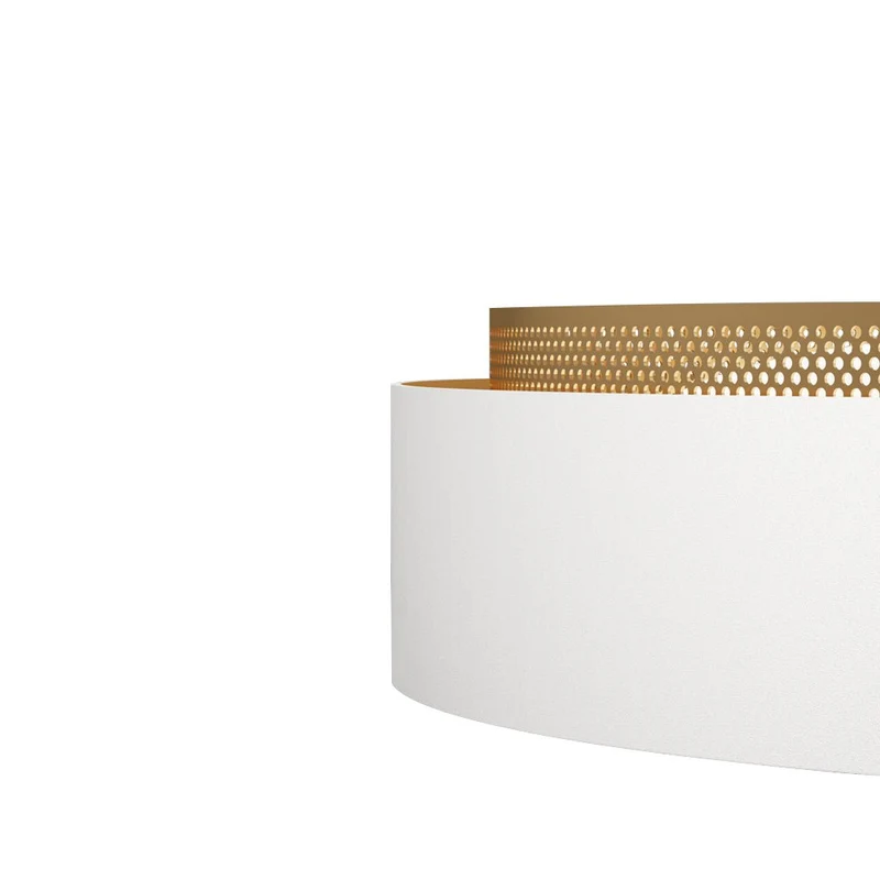 Plafondlamp LED Rond Hol Design 30W Wit Zwart 50cm Woonkamer Badkamer Minimalistisch