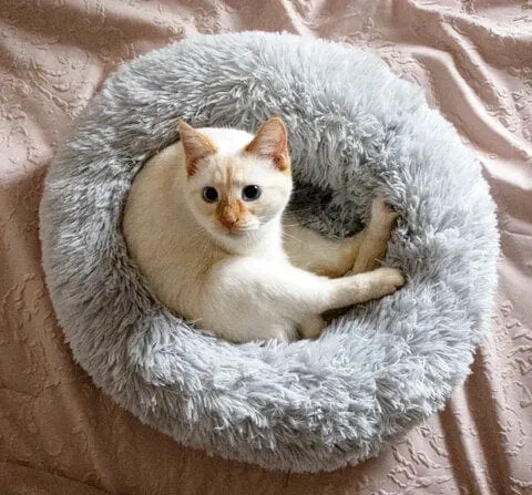 Rond Huisdiermand met Verhoogde Rand Pluche Slaapplaats Hond Kat Comfort Nest Zacht Kussen Warm Bed Rustplek | Sansoti