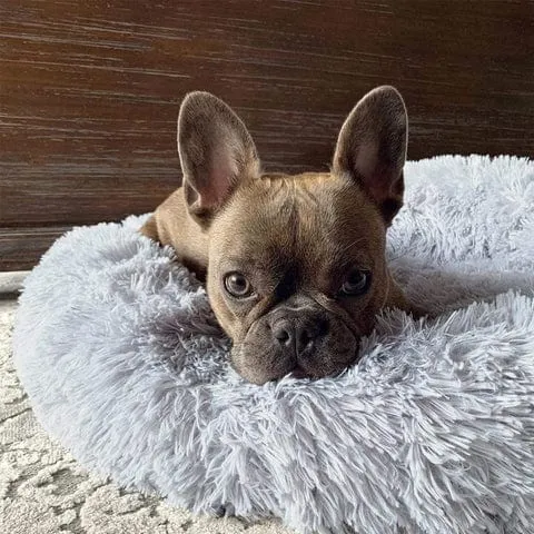 Rond Huisdiermand met Verhoogde Rand Pluche Slaapplaats Hond Kat Comfort Nest Zacht Kussen Warm Bed Rustplek | Sansoti