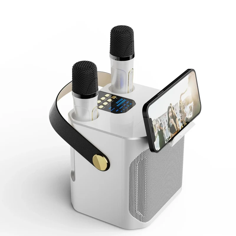 Karaoke Bluetooth Luidspreker Met 2 Microfoons 360° Stereo Surround | Sansoti