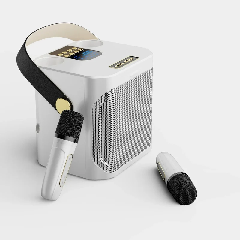 Karaoke Bluetooth Luidspreker Met 2 Microfoons 360° Stereo Surround | Sansoti