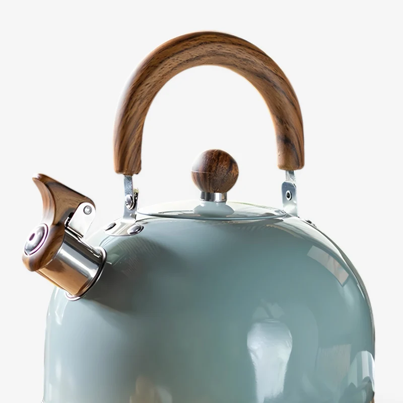 Fluitketel voor Inductie 2,5L – Elegante RVS Waterketel met Veilig Handvat | Sansoti