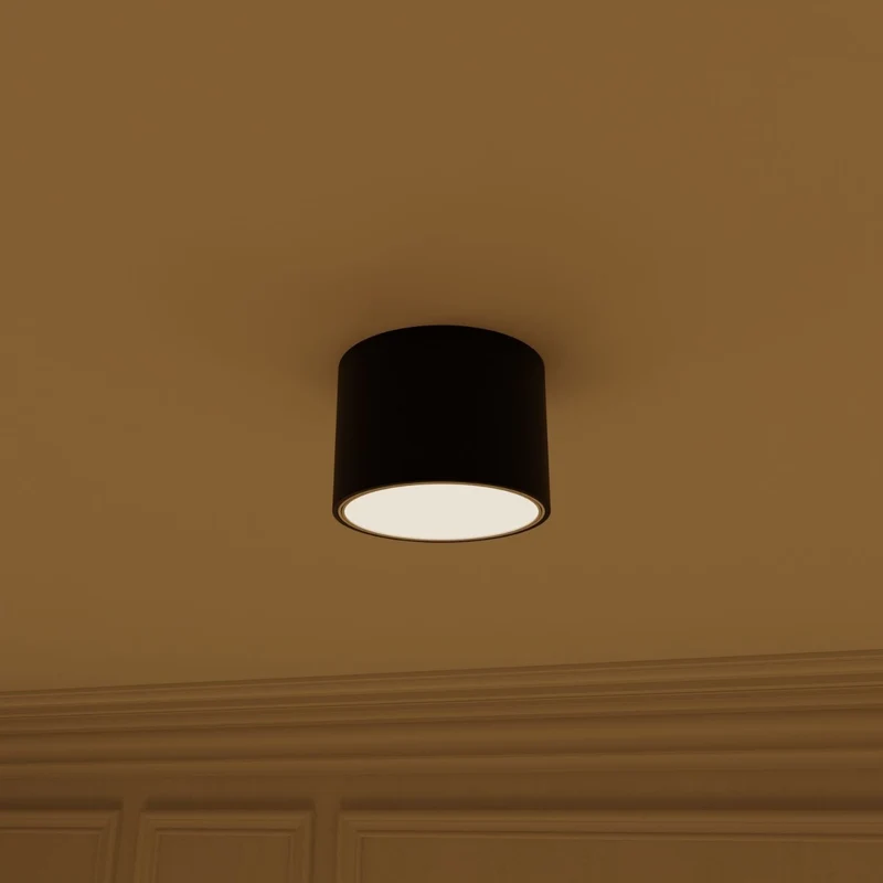 Verstelbare led plafondlamp met gericht warm 2700k licht voor hal keuken en woonkamer | Sansoti