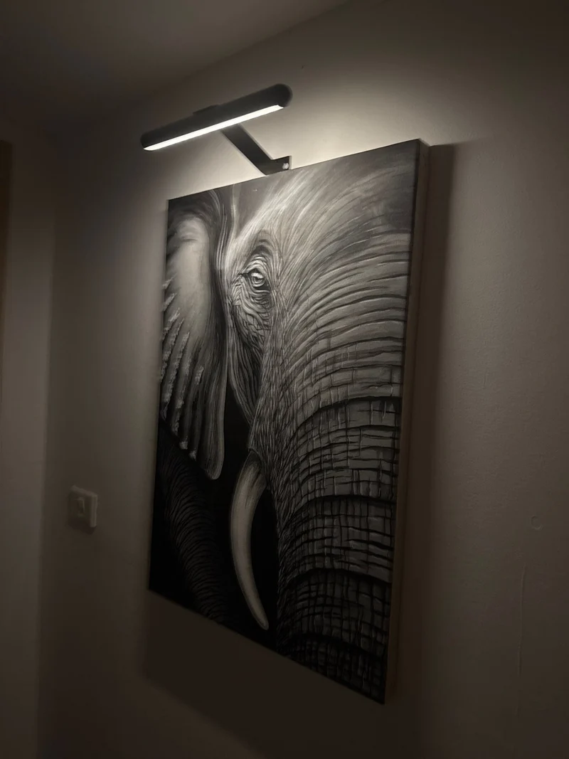 Draadloze LED Schilderijverlichting – Oplaadbare Wandlamp voor Kunst & Foto’s | Sansoti
