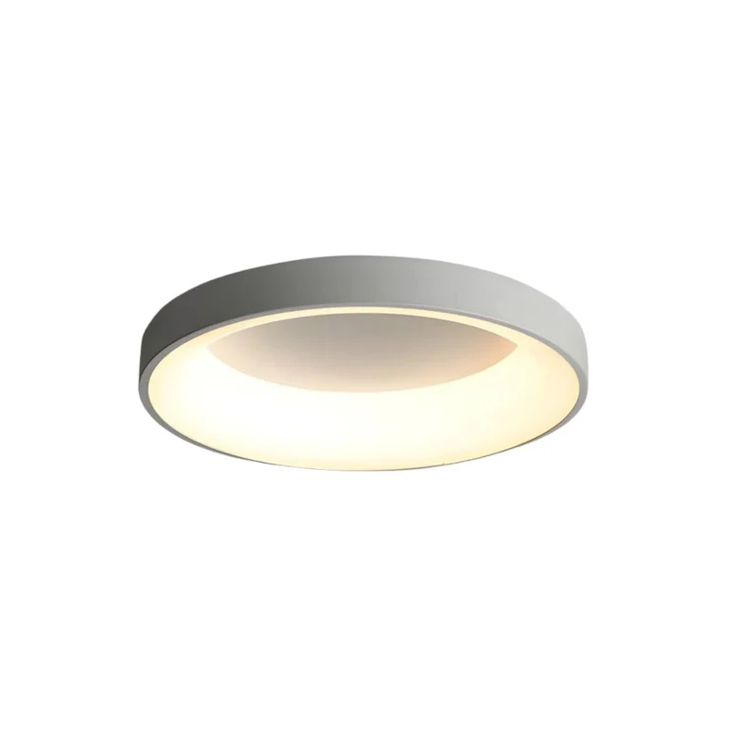 LED plafondlamp rond acryl ijzer lage ruimtes hal slaapkamer woonkamer moderne opbouwlamp minimalistische plafondverlichting | Sansoti