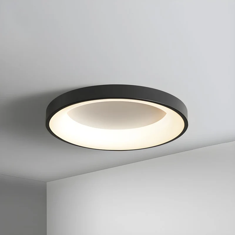 LED plafondlamp rond acryl ijzer lage ruimtes hal slaapkamer woonkamer moderne opbouwlamp minimalistische plafondverlichting | Sansoti