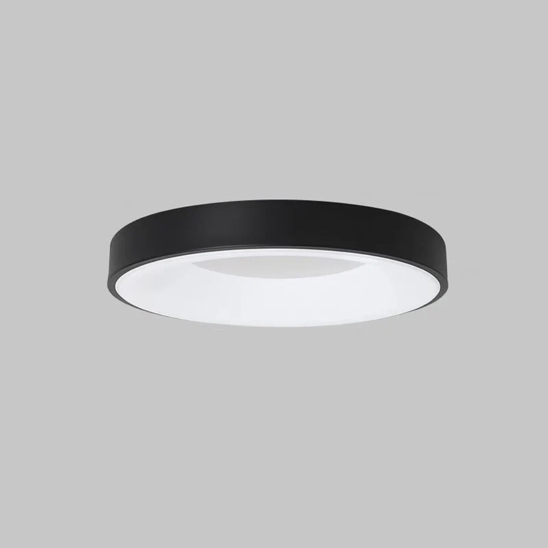LED plafondlamp rond acryl ijzer lage ruimtes hal slaapkamer woonkamer moderne opbouwlamp minimalistische plafondverlichting | Sansoti