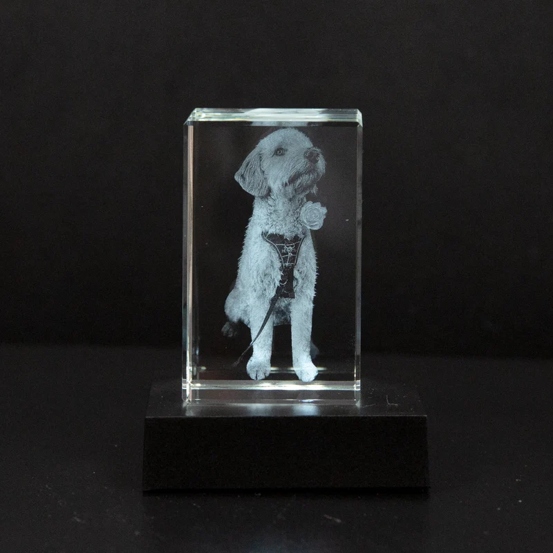 Gepersonaliseerd 2D/3D Kristal Gedenkkristal met Eigen Foto – Verlicht Herinneringsblok met Houten Voet | Sansoti