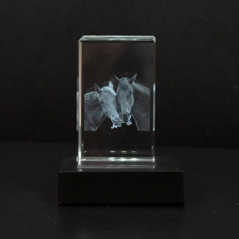 Gepersonaliseerd 2D/3D Kristal Gedenkkristal met Eigen Foto – Verlicht Herinneringsblok met Houten Voet | Sansoti