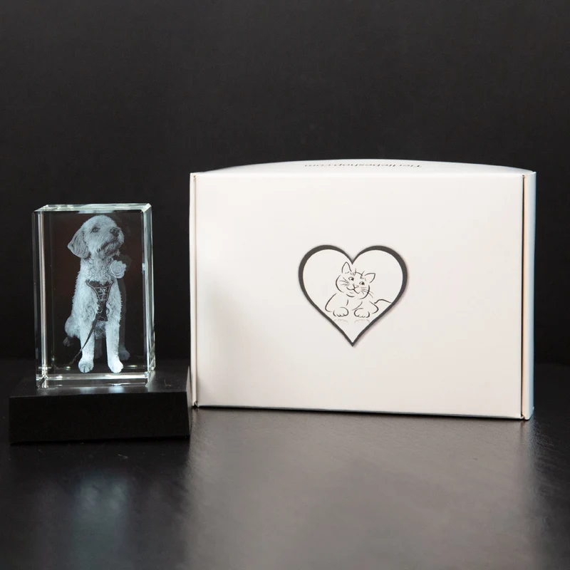 Gepersonaliseerd 2D/3D Kristal Gedenkkristal met Eigen Foto – Verlicht Herinneringsblok met Houten Voet | Sansoti