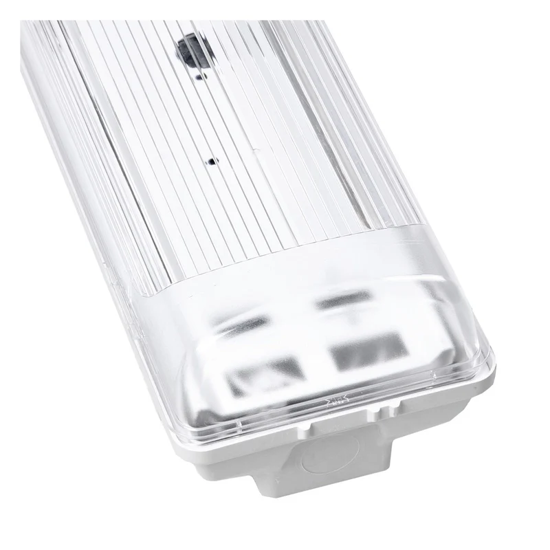 PRACHT LUNA-N T8 Feuchtraumleuchte 2x58W EVG IP66 20 Stk.