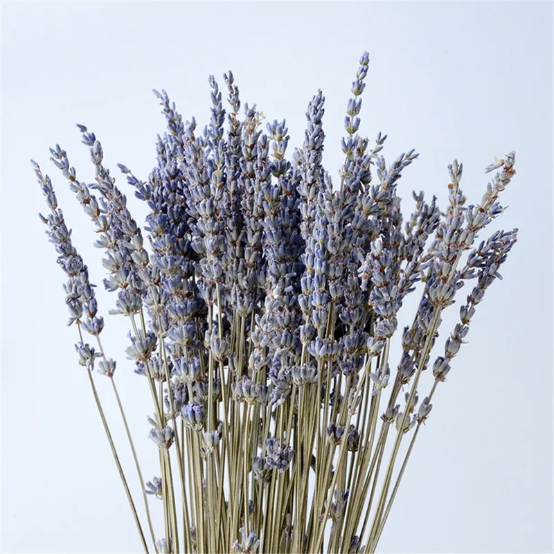 Gedroogde Lavendel Bundel Natuurlijk Paars 40cm Decoratief Interieur Aromatisch Rustgevend | Sansoti