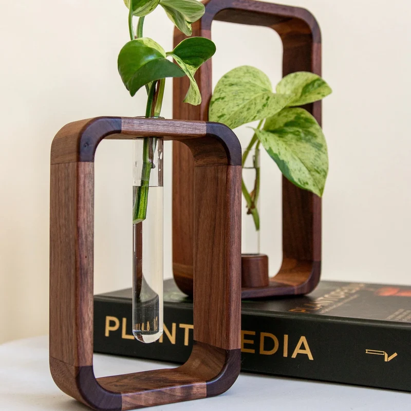 Glazen Plantenvaasje met Houten Standaard voor Stekjes en Hydrocultuur | Sansoti