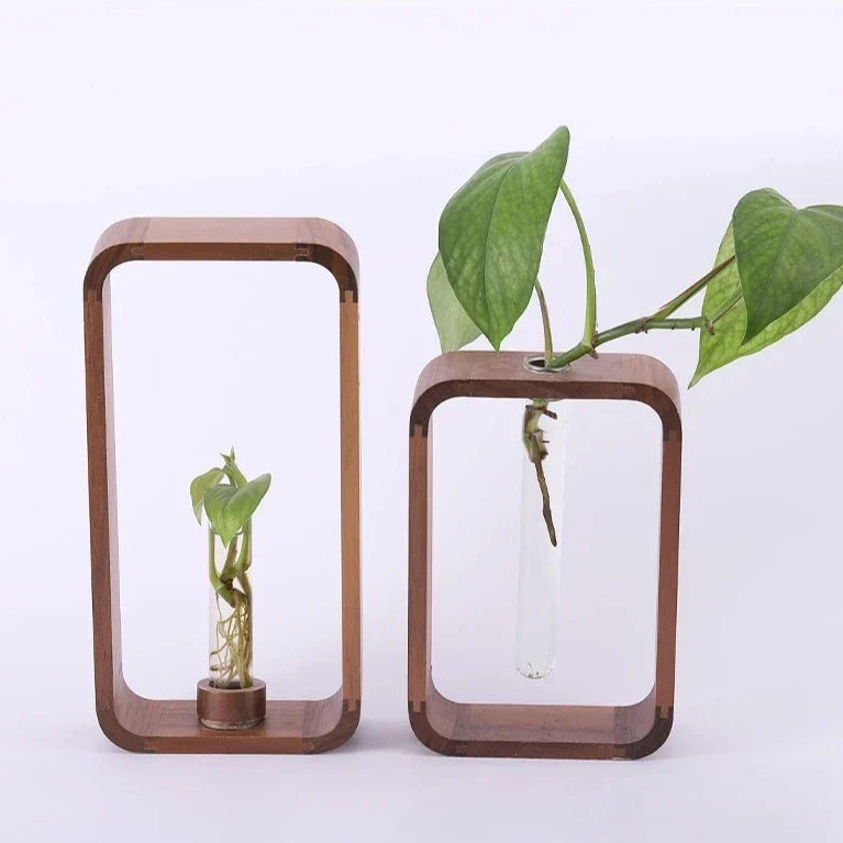 Glazen Plantenvaasje met Houten Standaard voor Stekjes en Hydrocultuur | Sansoti
