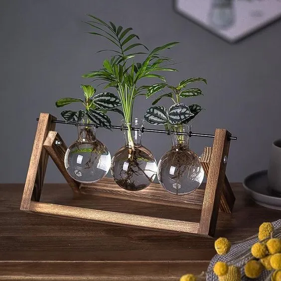 Plantenpropagator Standaard Hout & Glas Stekhouder Vintage Stijl voor Kamerplanten | Sansoti