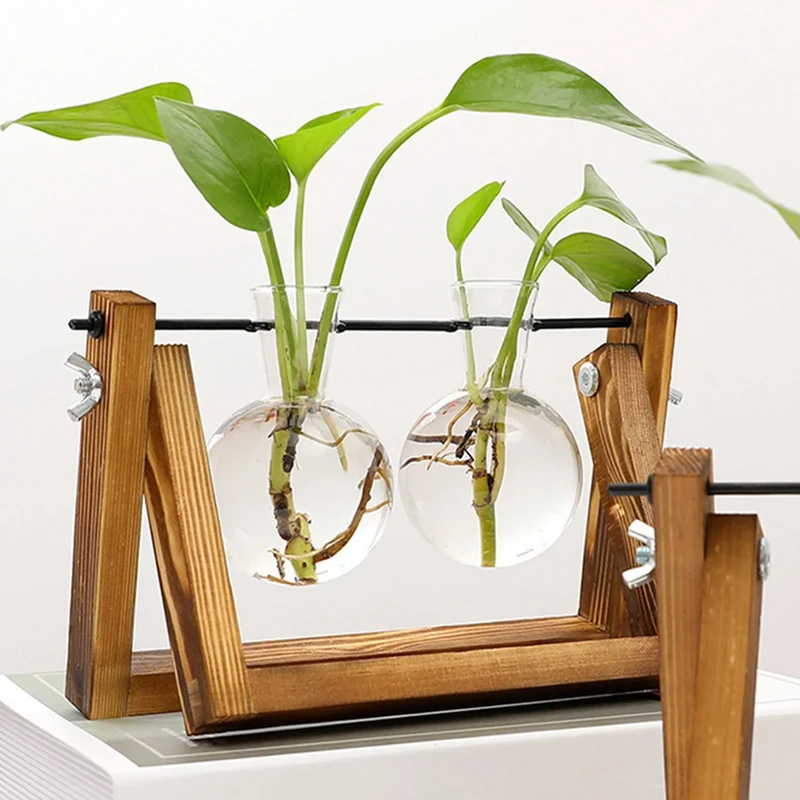 Plantenpropagator Standaard Hout & Glas Stekhouder Vintage Stijl voor Kamerplanten | Sansoti