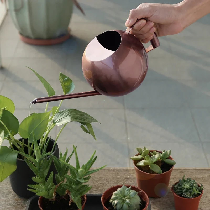 Minimalistische Plantengieter Ø 29 cm Roestvrij Staal voor Interieurplanten 1500 ml | Sansoti