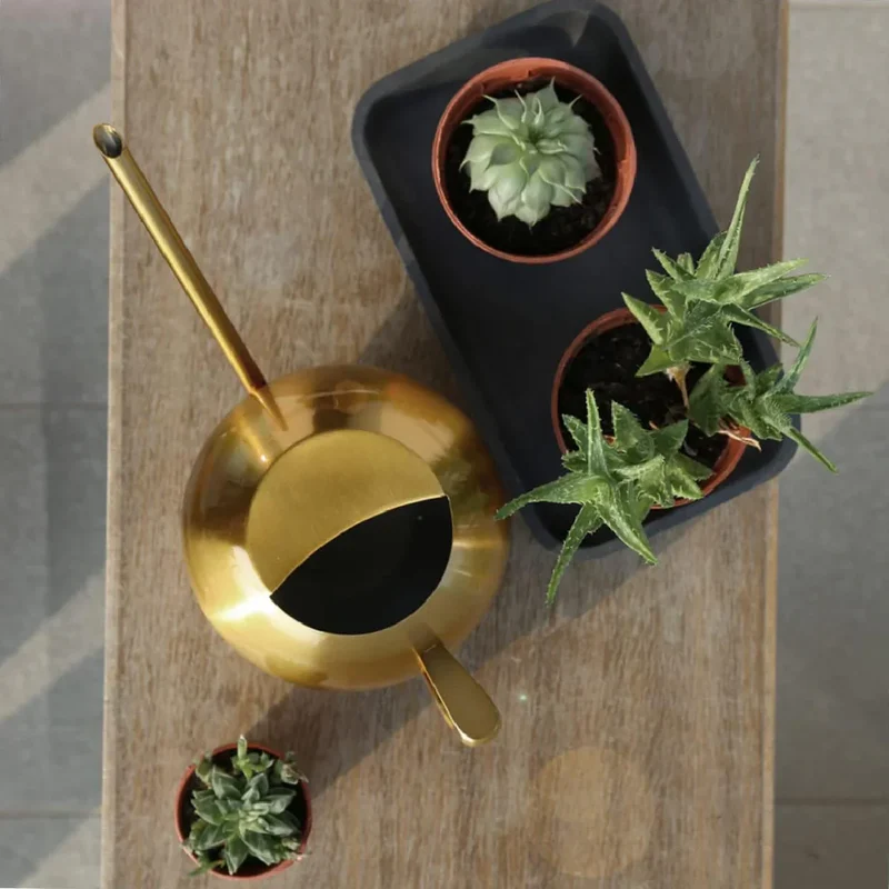 Minimalistische Plantengieter Ø 29 cm Roestvrij Staal voor Interieurplanten 1500 ml | Sansoti
