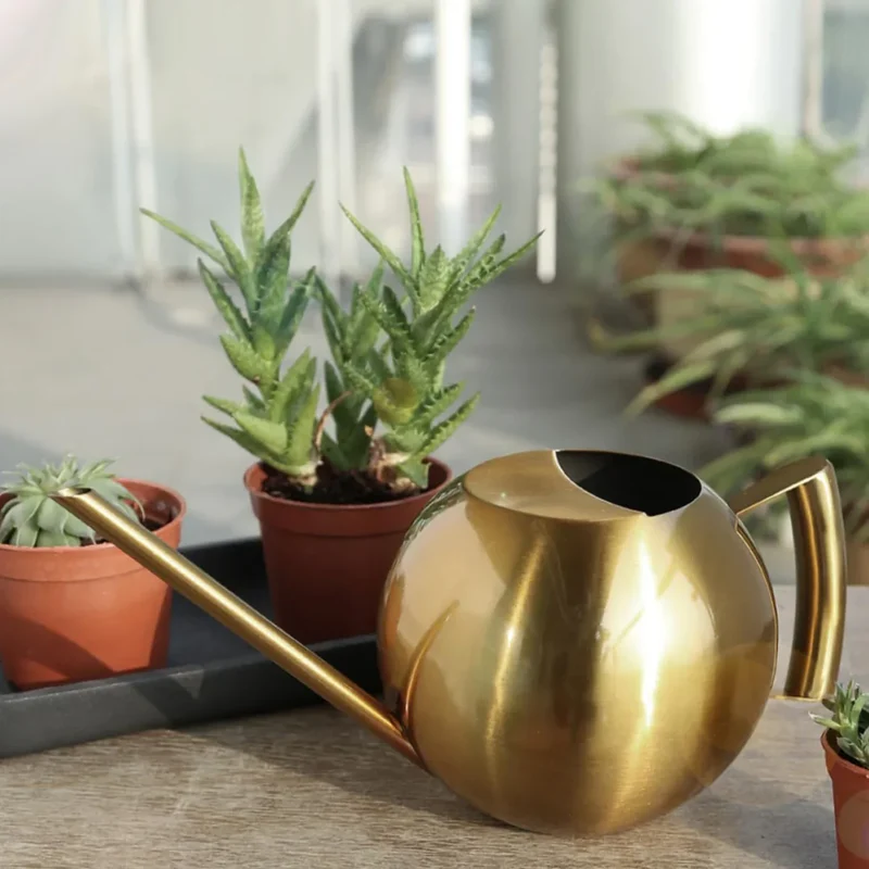 Minimalistische Plantengieter Ø 29 cm Roestvrij Staal voor Interieurplanten 1500 ml | Sansoti