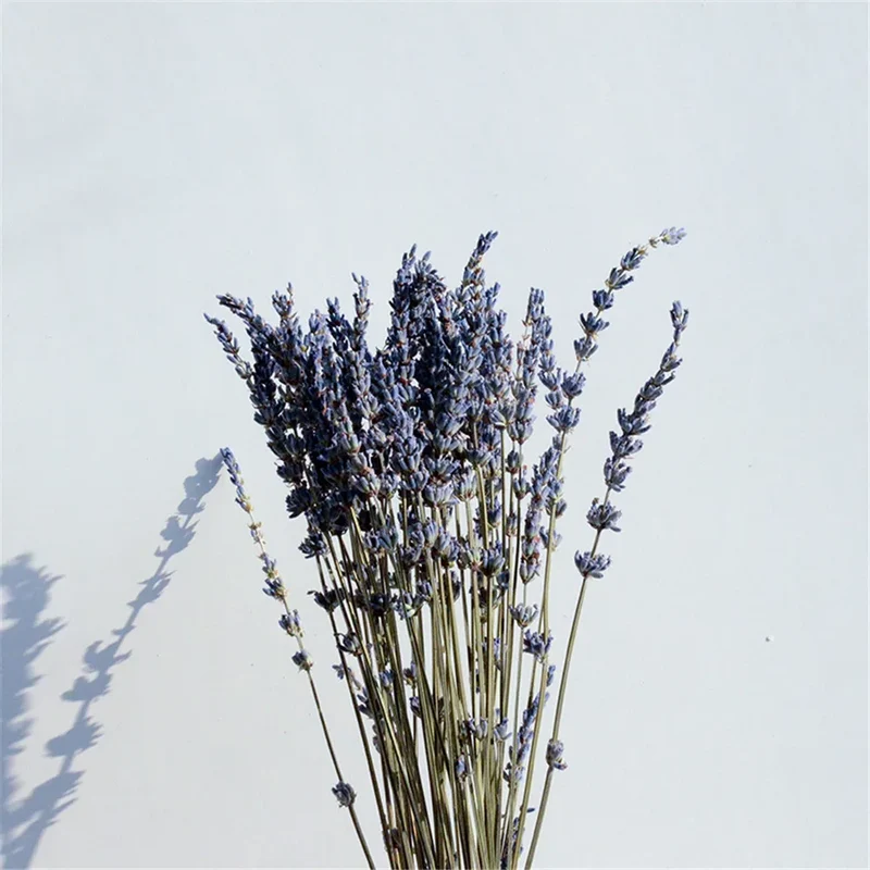 Gedroogde Lavendelbundel Natuurlijk 40cm Geurig Decoratief Paars Boeket voor Interieur en Aromatherapie | Sansoti