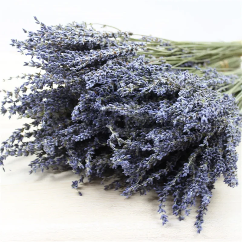 Gedroogde Lavendelbundel Natuurlijk 40cm Geurig Decoratief Paars Boeket voor Interieur en Aromatherapie | Sansoti